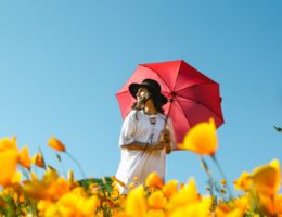 Asian Sunscreens Explained - Differences between Asian and Western Sunscreens 25 Asian Sunscreens Explained